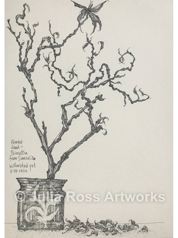 Almost Dead Poinsettia - Julia Ross Artworks