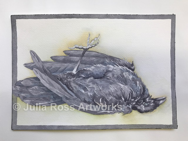 Dead Crow, Taiwan - Julia Ross Artworks