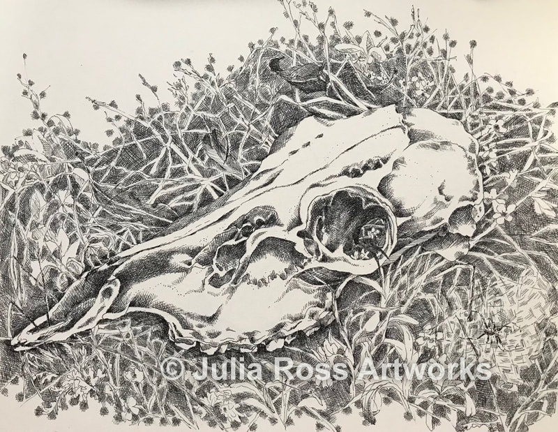 Deer Skull - Julia Ross Artworks