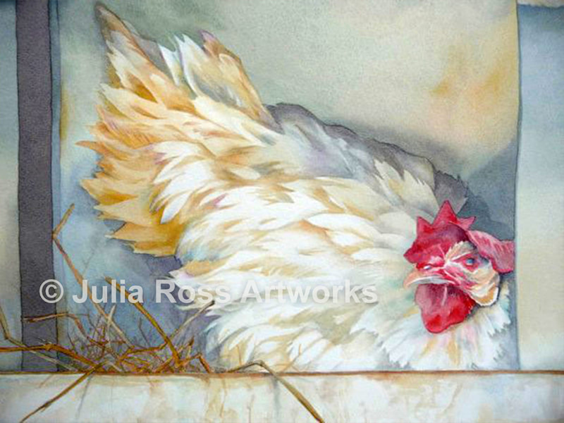 In the Coop, Tomula Farms - Julia Ross Artworks