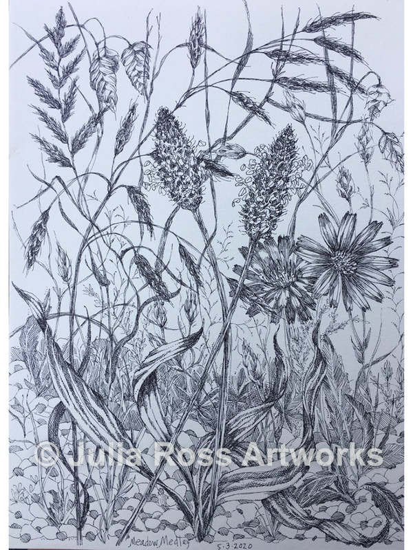 In the Weeds - Julia Ross Artworks