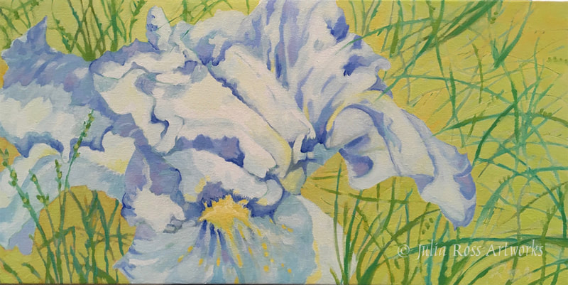 Iris in Spring - Julia Ross Artworks