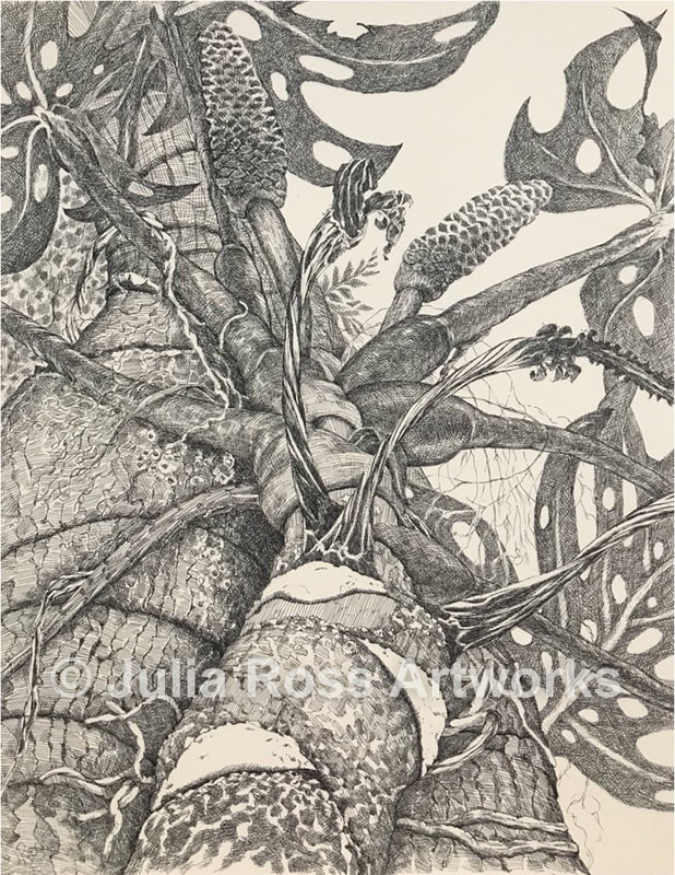 Philodendron, Lord Howe Island - Julia Ross Artworks