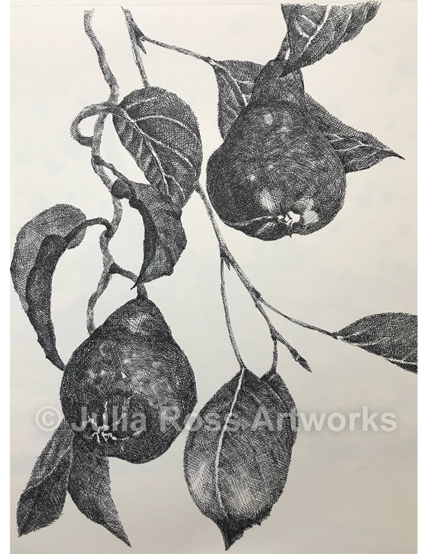 Pears at O'hanlon - Julia Ross Artworks