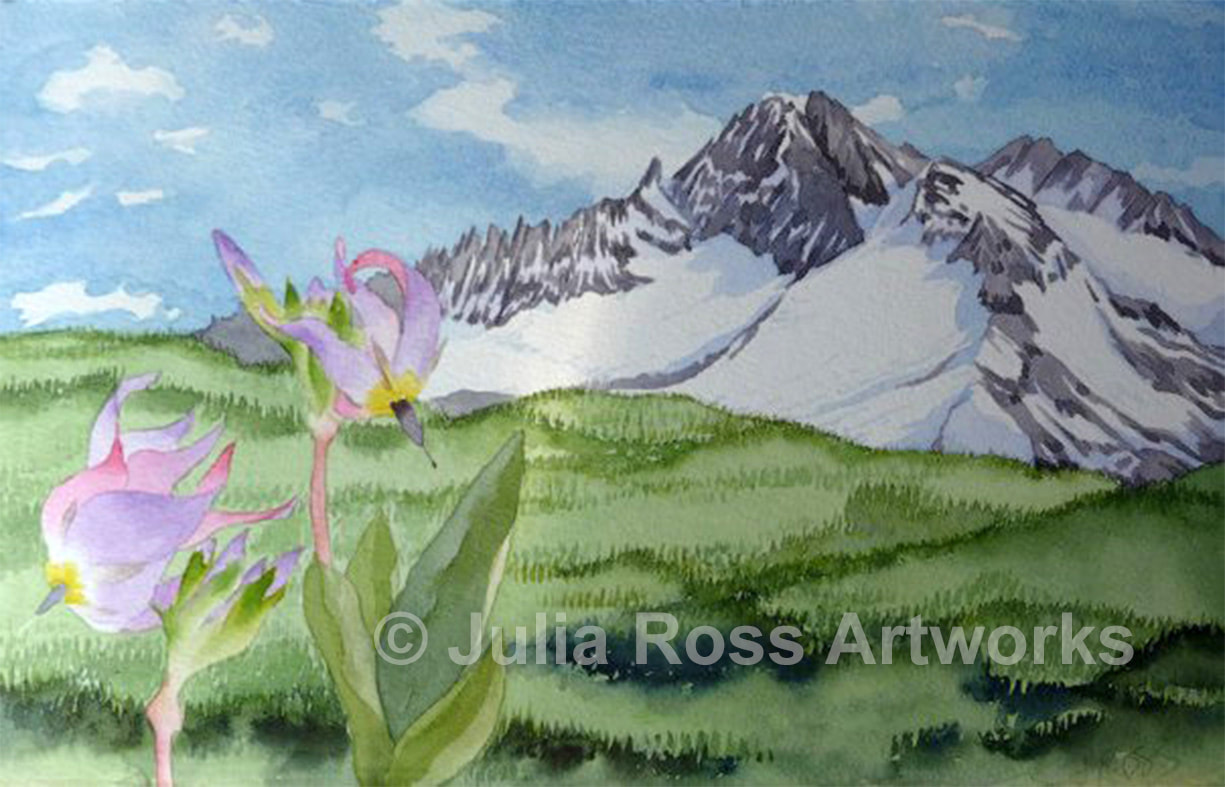 Sawtooth Mountains with Shooting Stars - Julia Ross Artworks