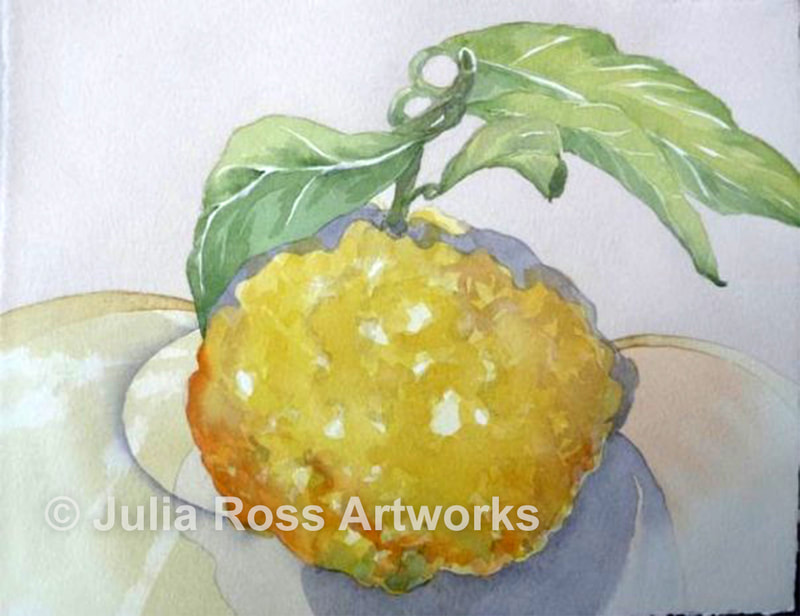 Sebastopol Lemon - Julia Ross Artworks