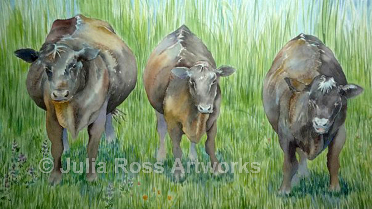 Three Cows, Bolinas Ridge - Julia Ross Artworks